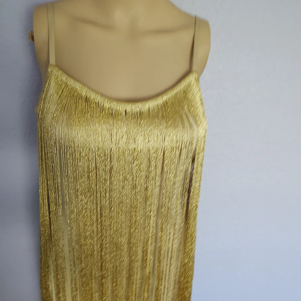 Forever 21 Gold Fringe Dress - Picture 2 of 8